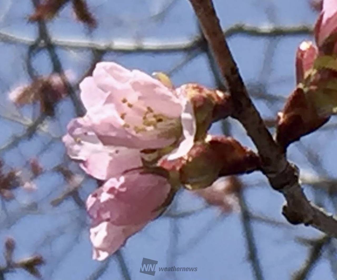 根気よく積み重ねて...