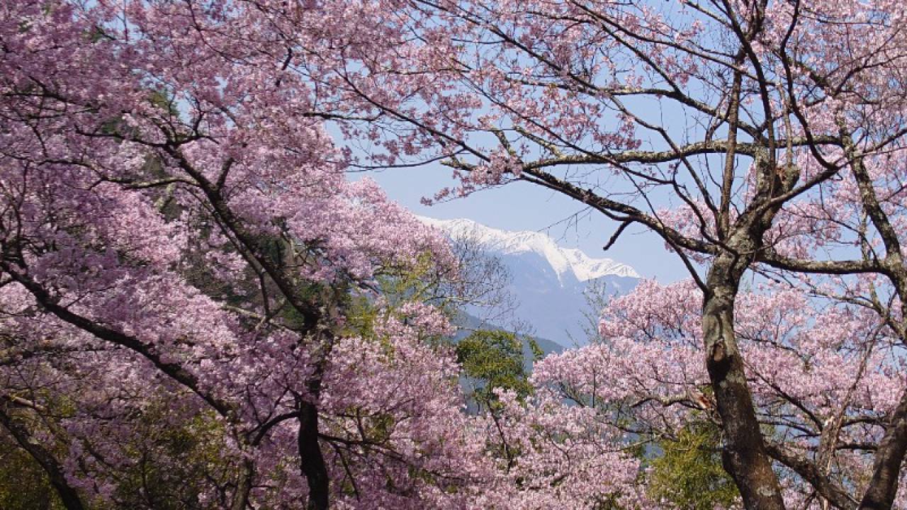 南アルプスの残雪と...