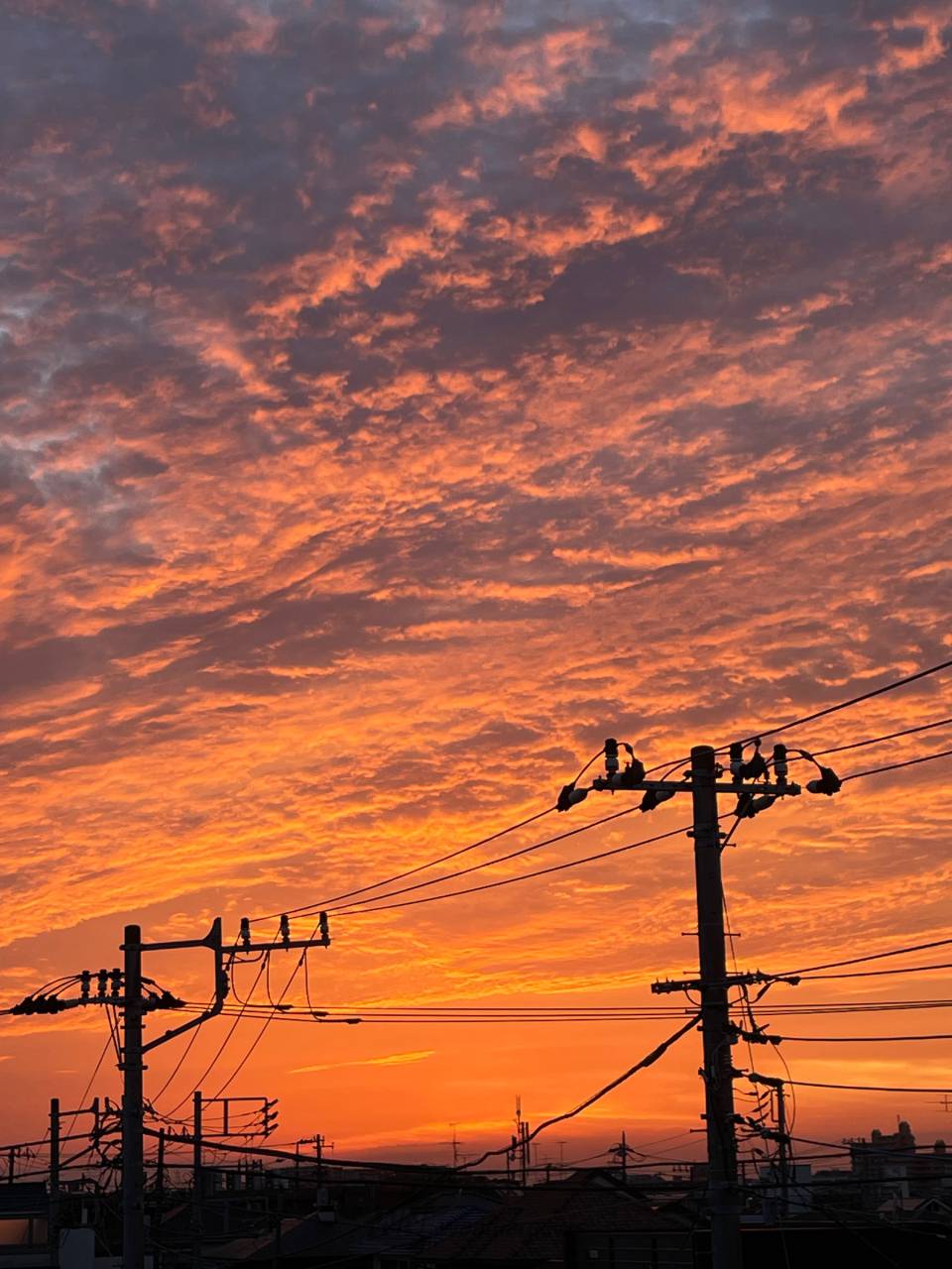 真っ赤な夕焼け 注目の空の写真 ウェザーニュース