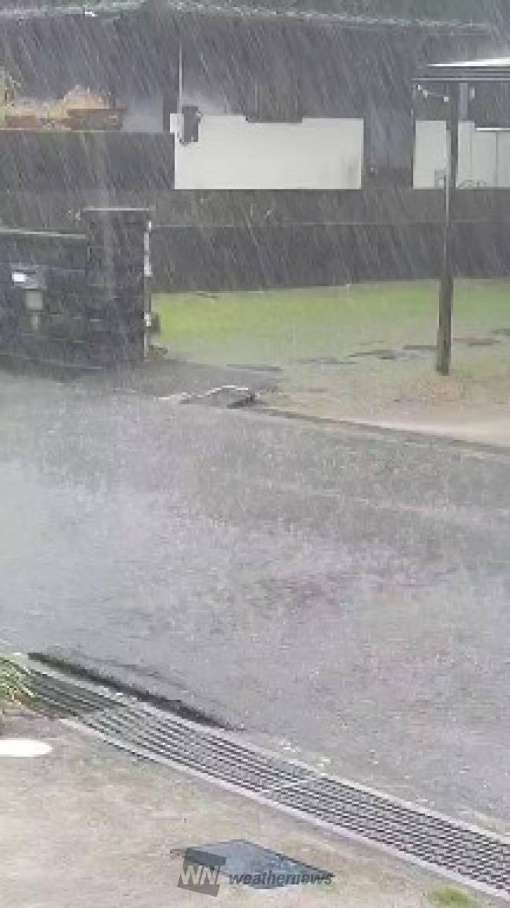 今の雨の状況です。 雨風強くなり横殴りの | 高知県高知市 | るるる