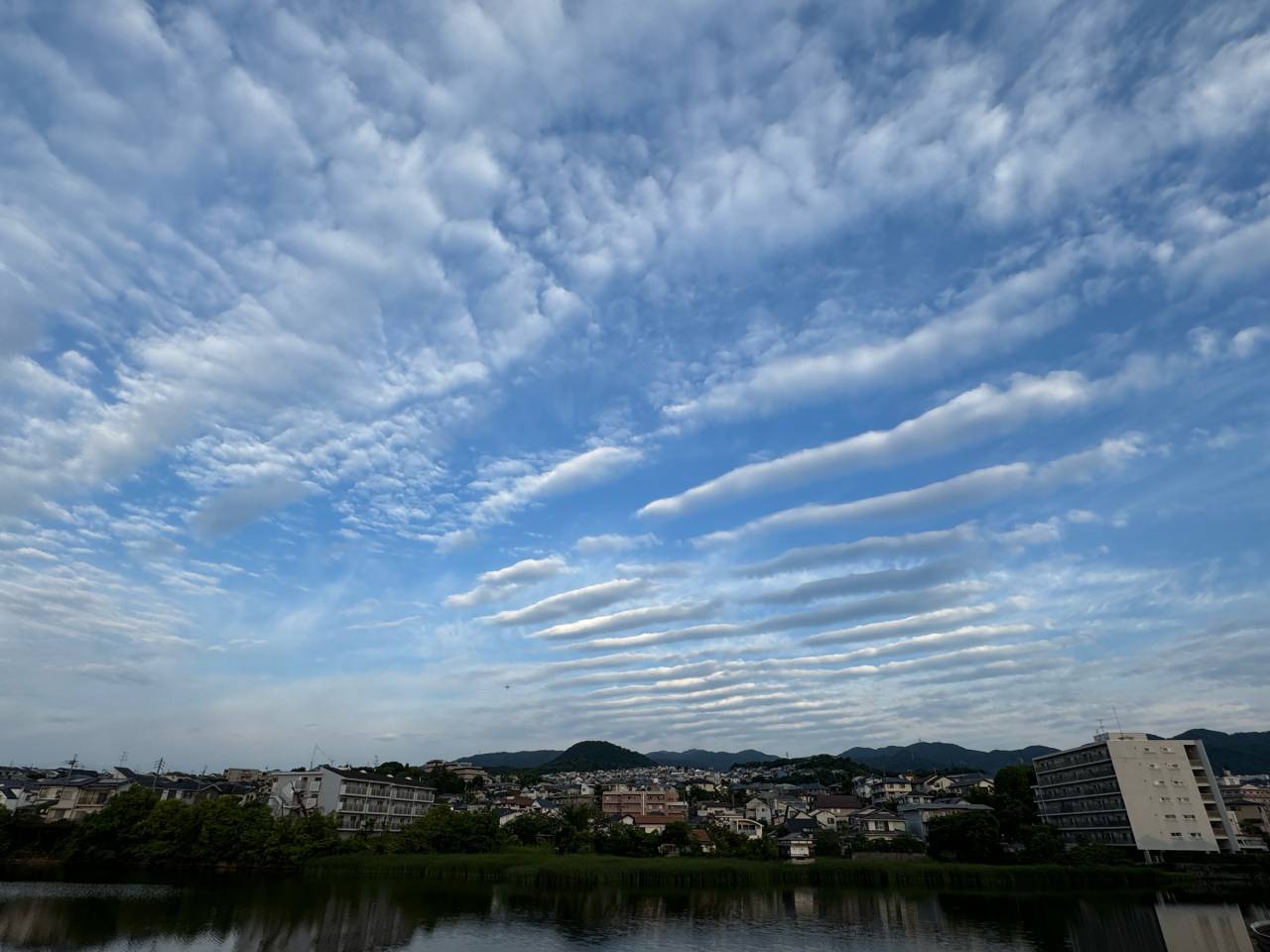 ひつじ雲Ꮚ・ェ・Ꮚ ひつじ雲🐑🐏☁️