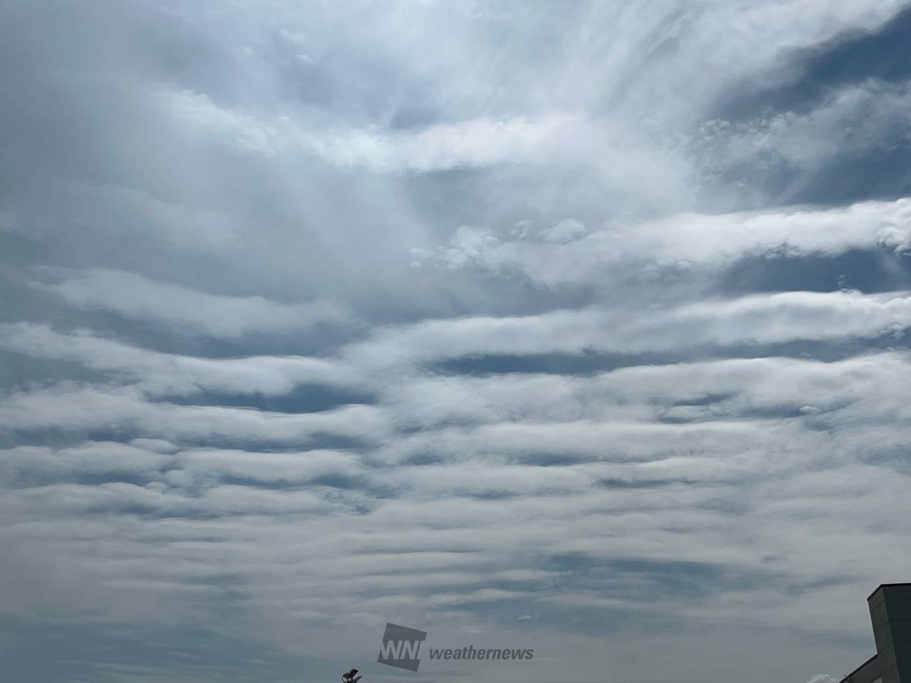 ひつじ雲Ꮚ・ェ・Ꮚ すじ雲・ひつじ雲 注目の空の写真 ウェザーニュース