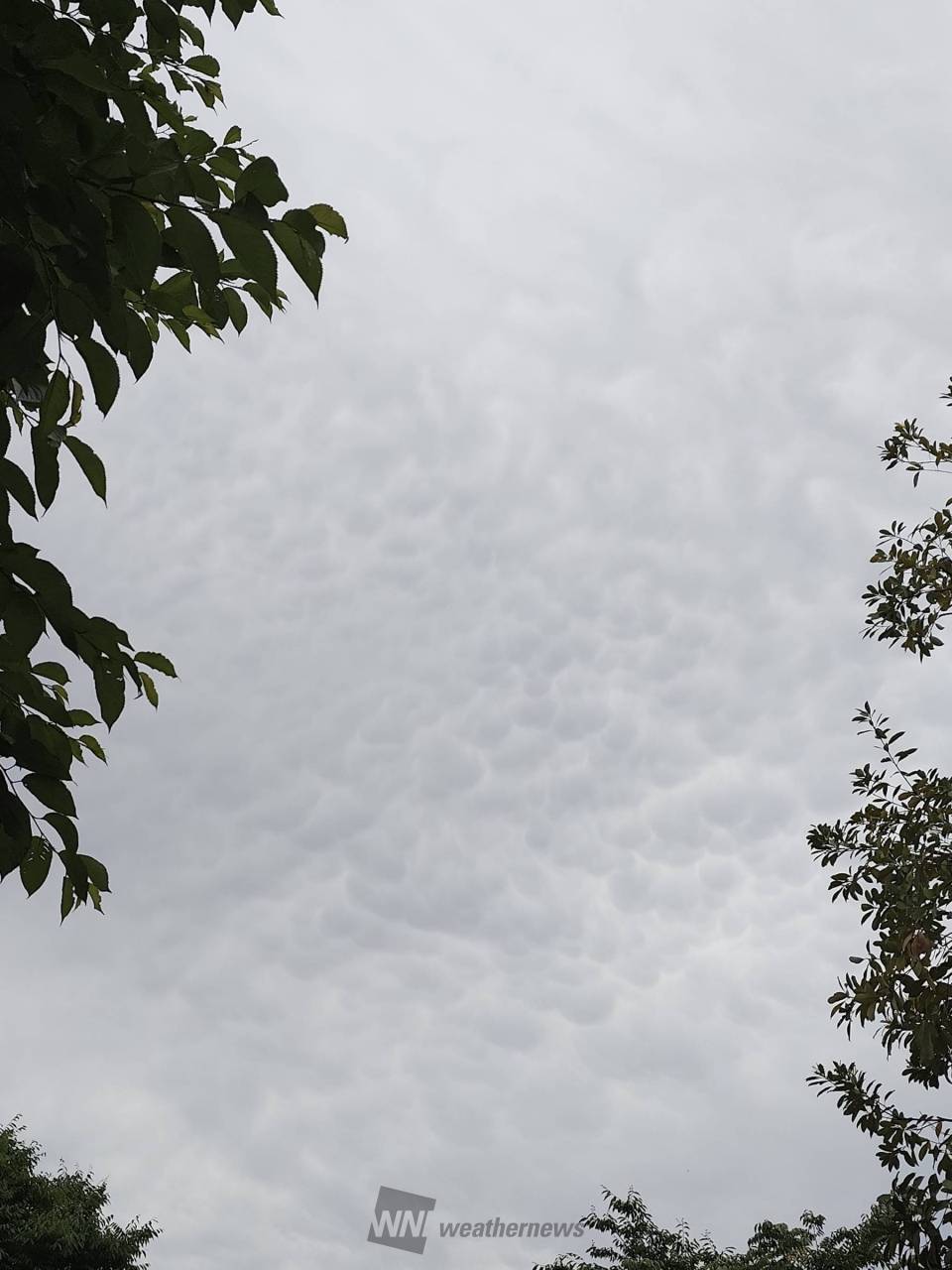 関東などに怪しい雲 注目の空の写真 ウェザーニュース 関東などに怪しい雲 注目の空の写真 ウェザーニュース