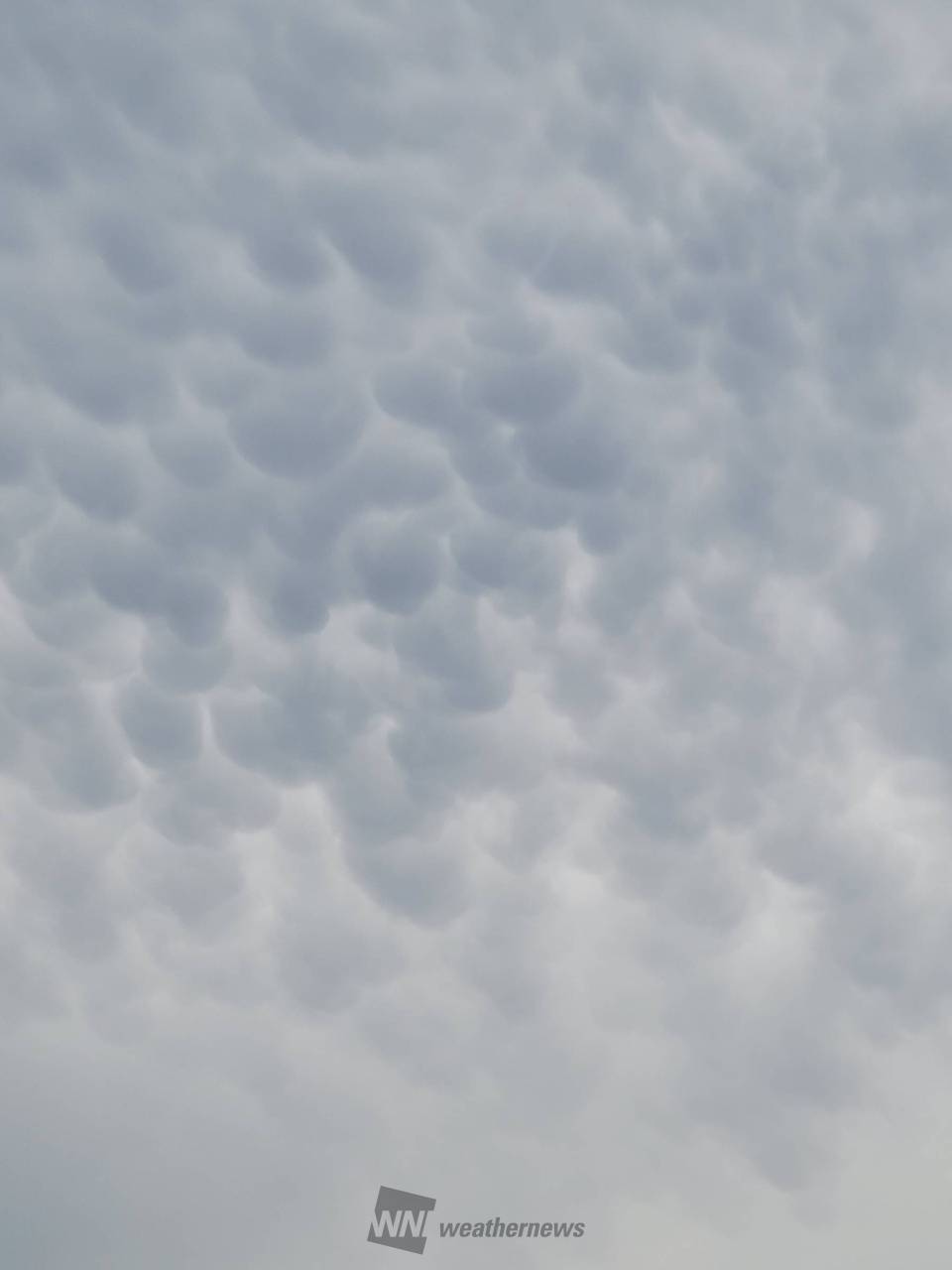 雲の顔 85174477.jpg
