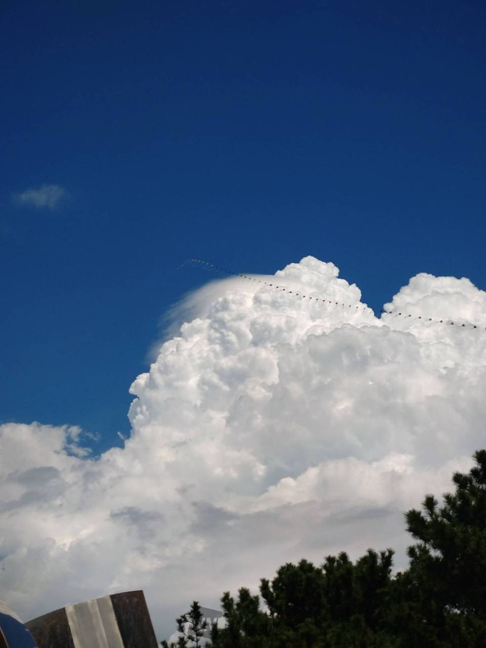 入道雲の上に筋雲があった！ たこも上がっ | 千葉県千葉市美浜区