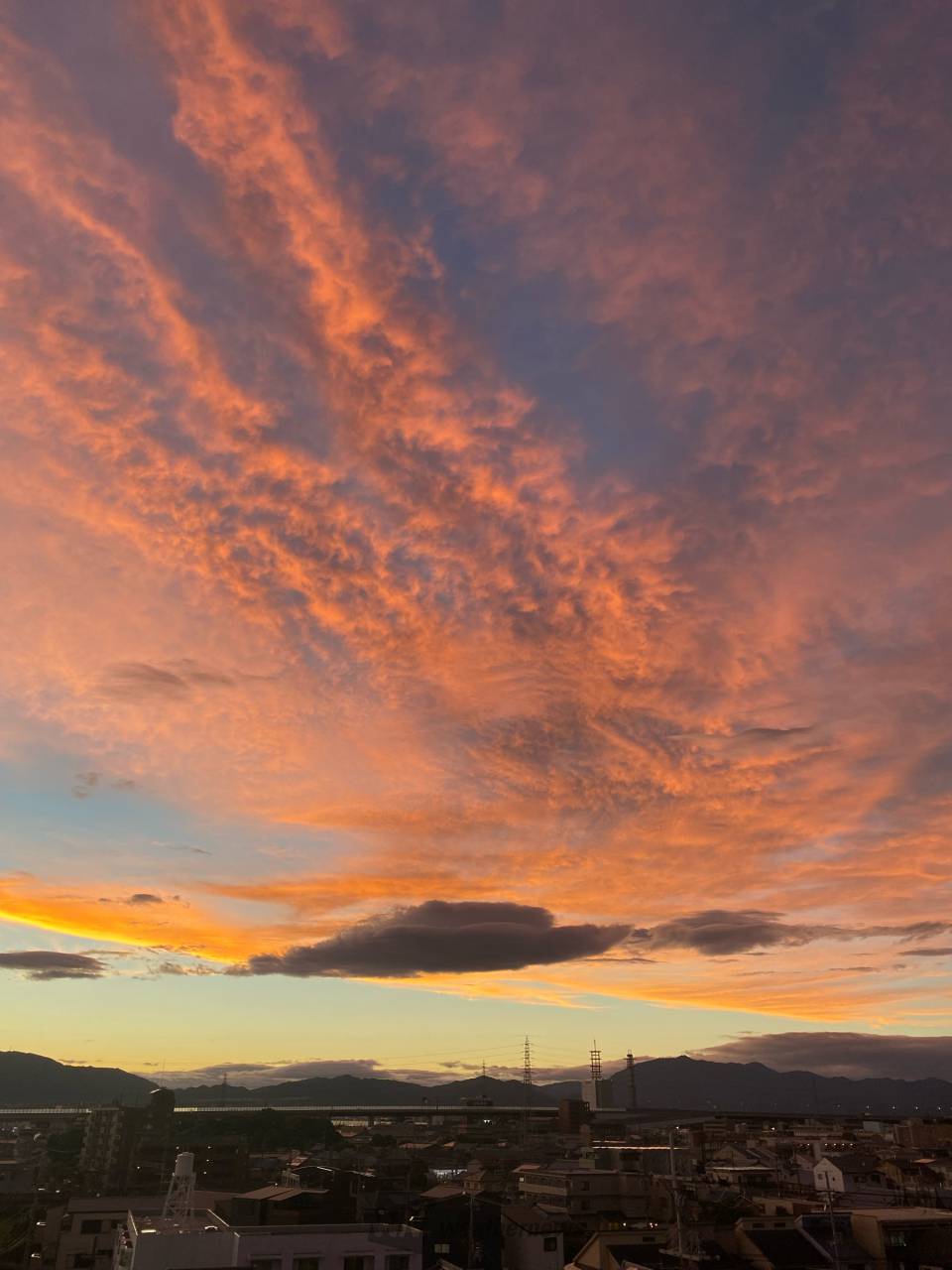 no.0496 冬夕焼のオレンジスモーキー一点物