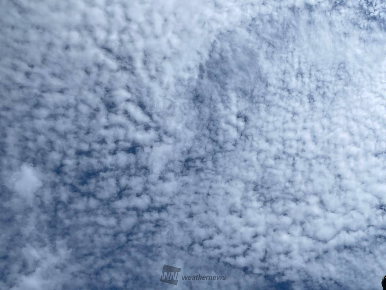 なみなみもこもこ☁️秋の雲 注目の空の写真 ウェザーニュース