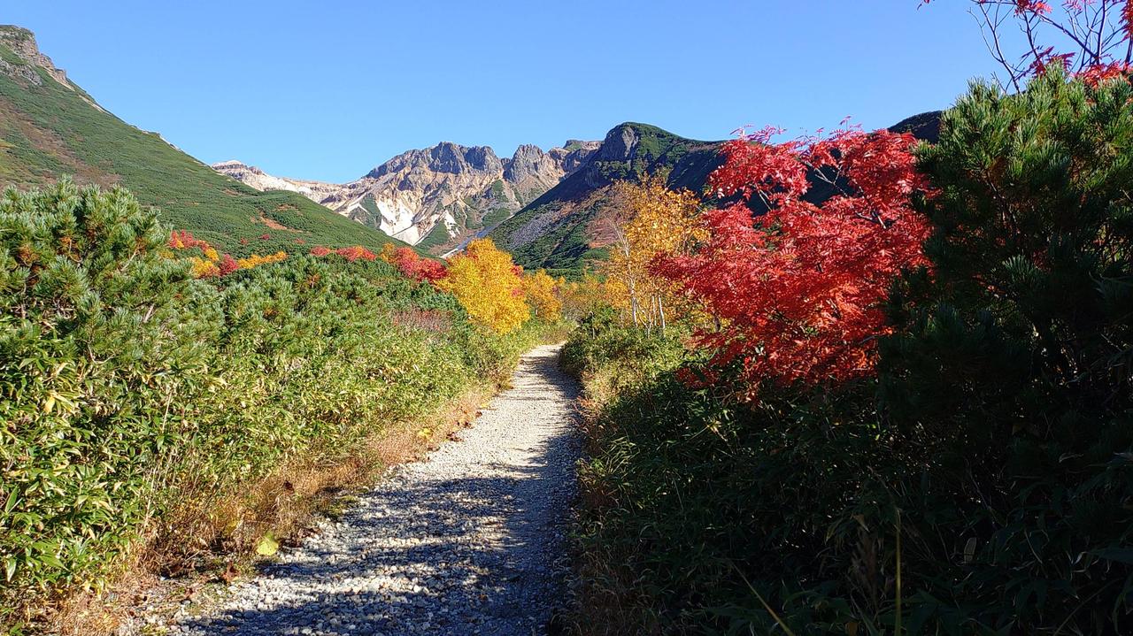 汐7月後半以降 走る人参(気象予報士) on X: 