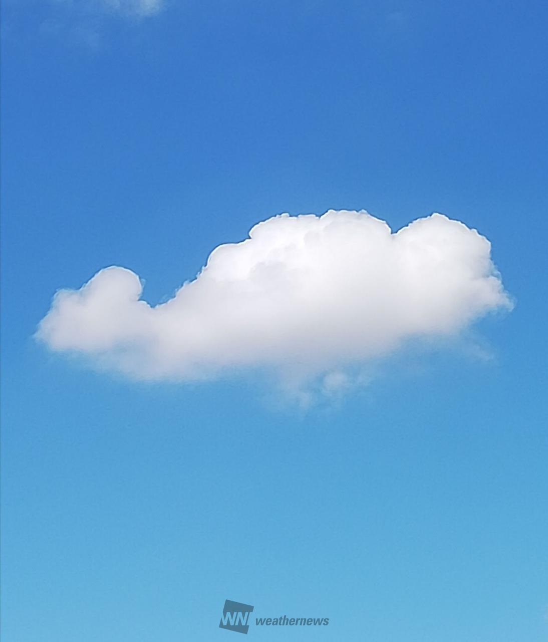 秋の雲画廊 注目の空の写真 ウェザーニュース