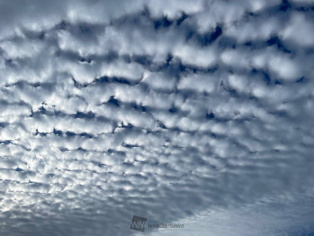 もこもこ雲 注目の空の写真 ウェザーニュース