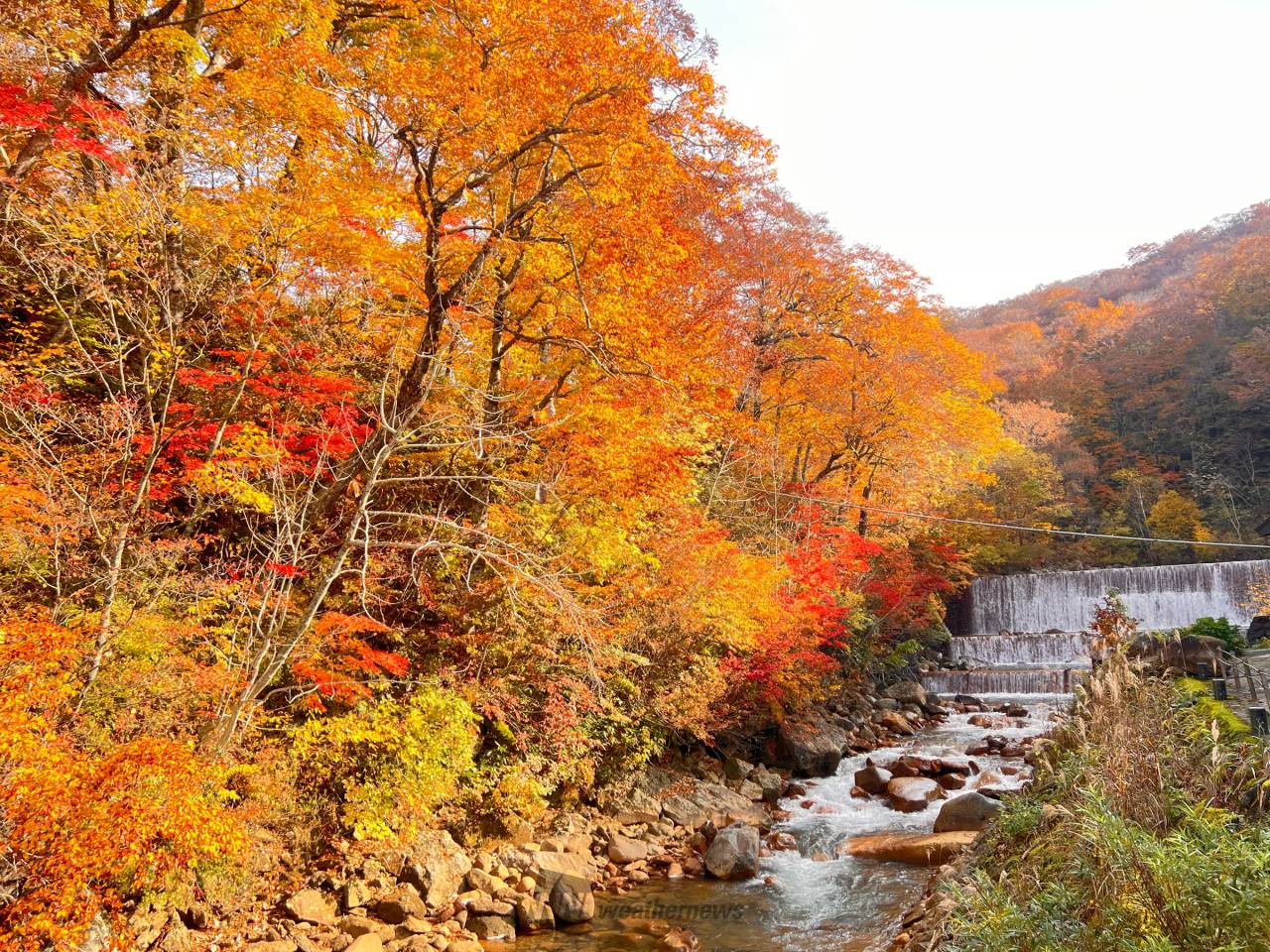 乳頭温泉郷(akita)の紅葉見頃情報 - 紅葉Ch. | dメニュー天気