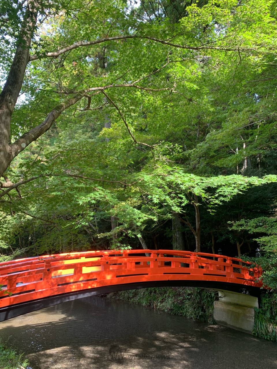 小 コレクション 國 神社 ベビーカー