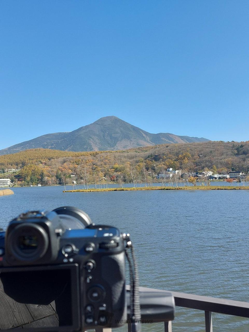 白樺 販売 湖 天気 カメラ