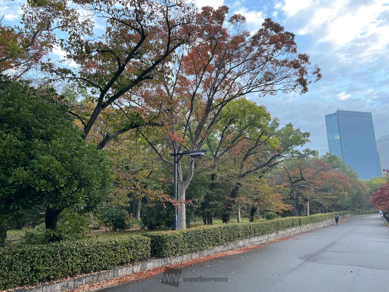 大阪城 販売済み 紅葉 ベビーカー