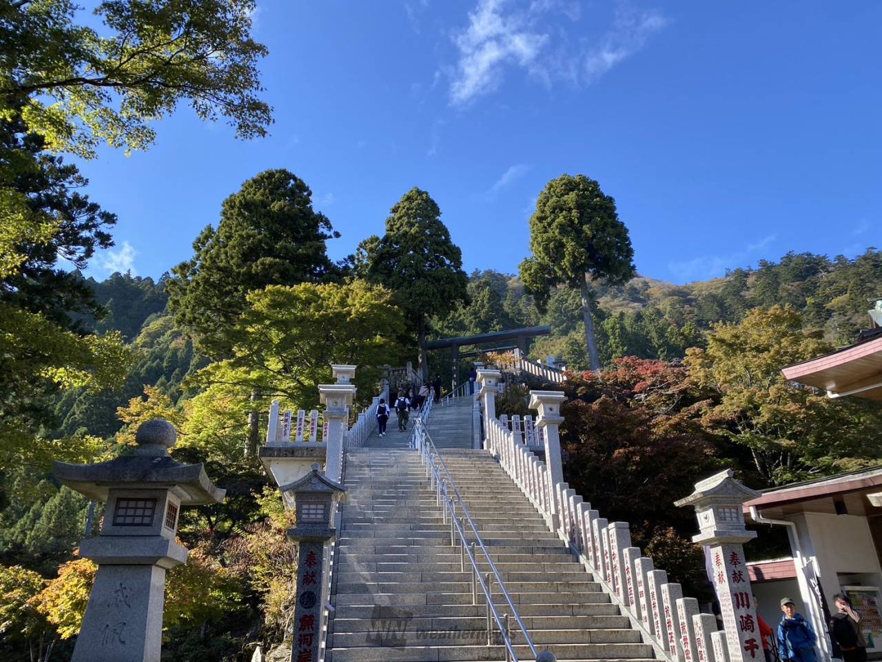 阿夫利神社 コレクション ベビーカー