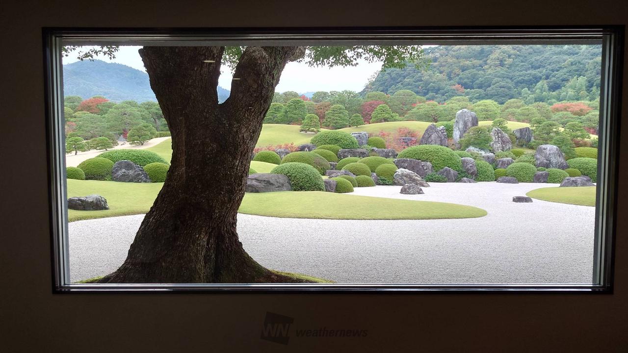 【真作】瀧園清網/紅葉満山歌/掛軸/名家伝来/AC-177 真作】瀧園清網/紅葉満山歌/掛軸/名家伝来/AC-177