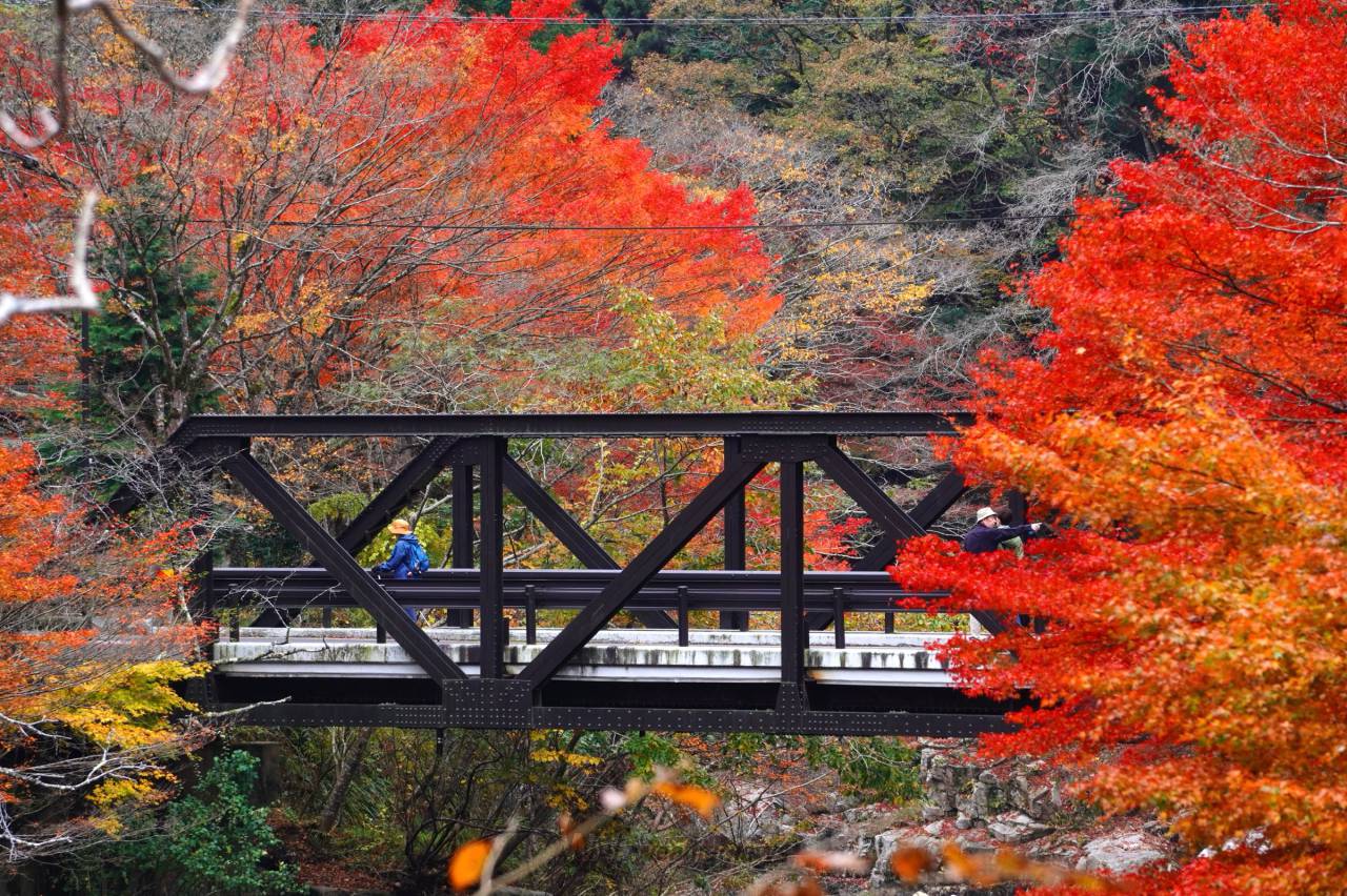 掛軸 広田超遊 渓谷之秋 木箱 紅葉 風景画 山水 mqdefault.jpg