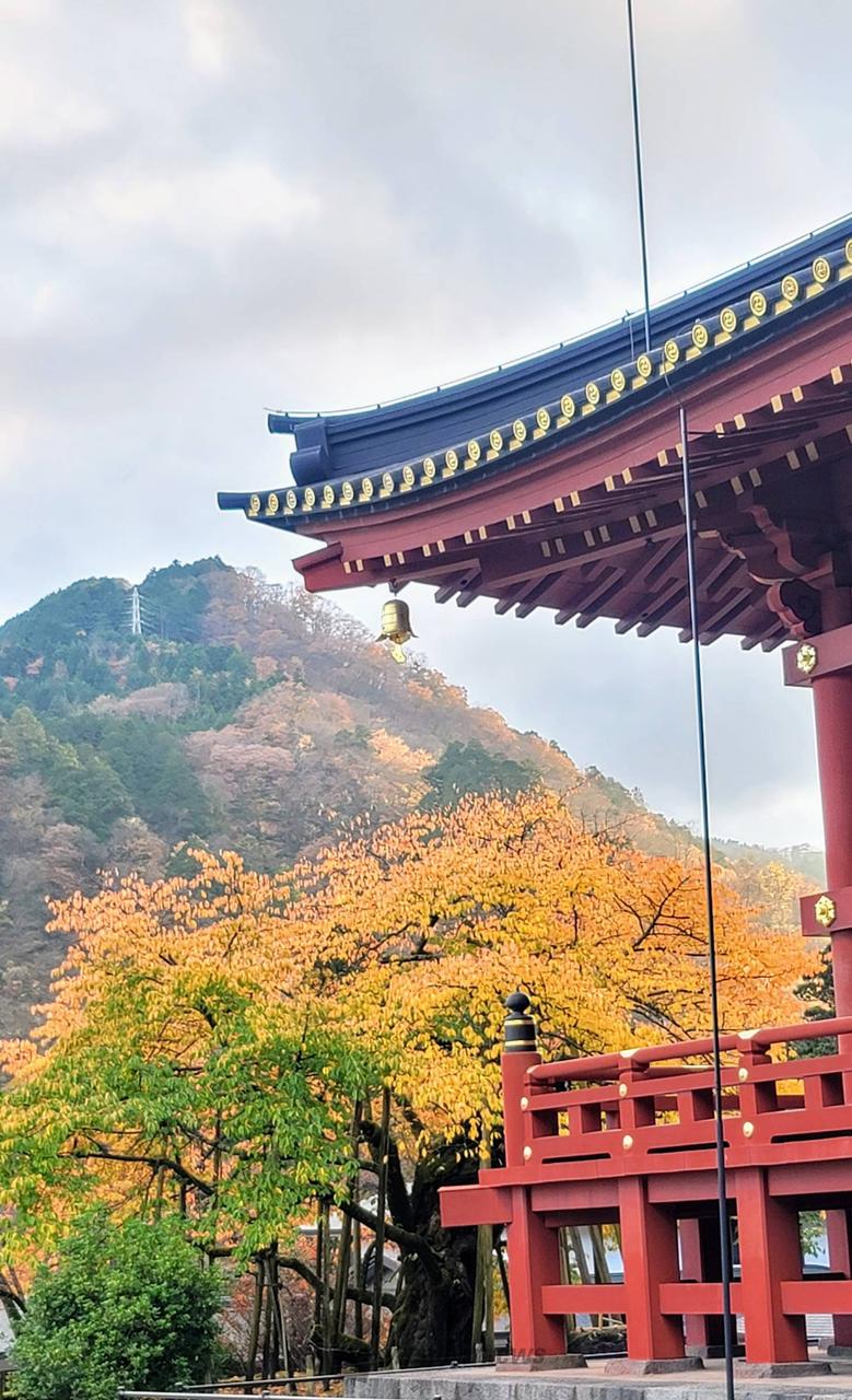 日光東照宮・日光二荒山神社・日光山輪王寺(tochigi)の紅葉見頃