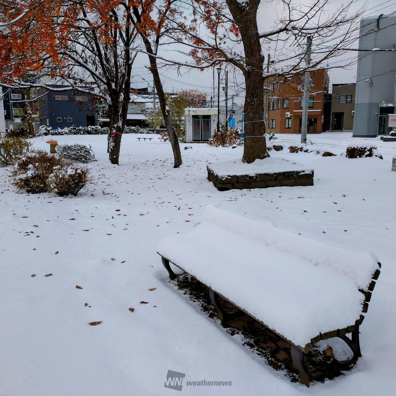 雪景色