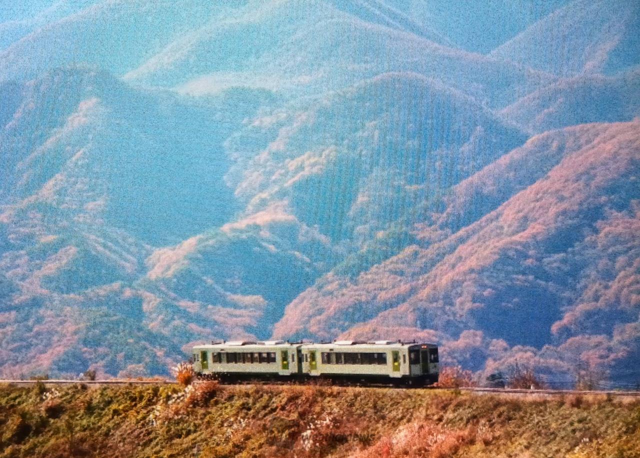八ヶ岳高原(清里付近)(yamanashi)の紅葉見頃情報 - 紅葉Ch. | d