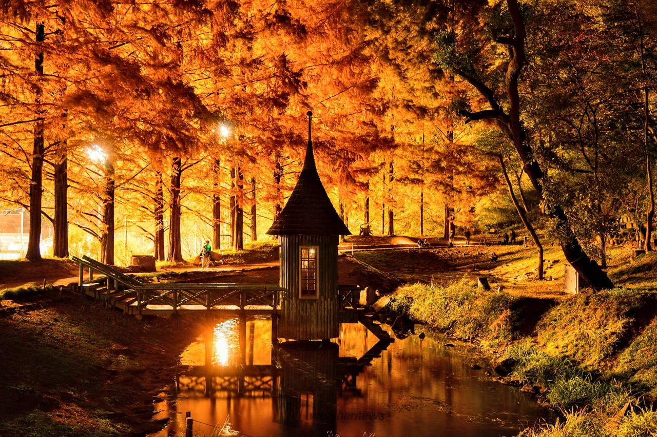 あめんぼ園ページ アカチャンホンポ（赤ちゃん本舗）の公式ネット通販 ｜Jelly