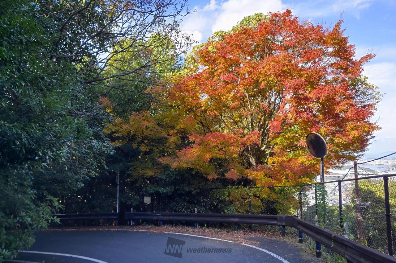 紅葉ページ インクライン 紅葉
