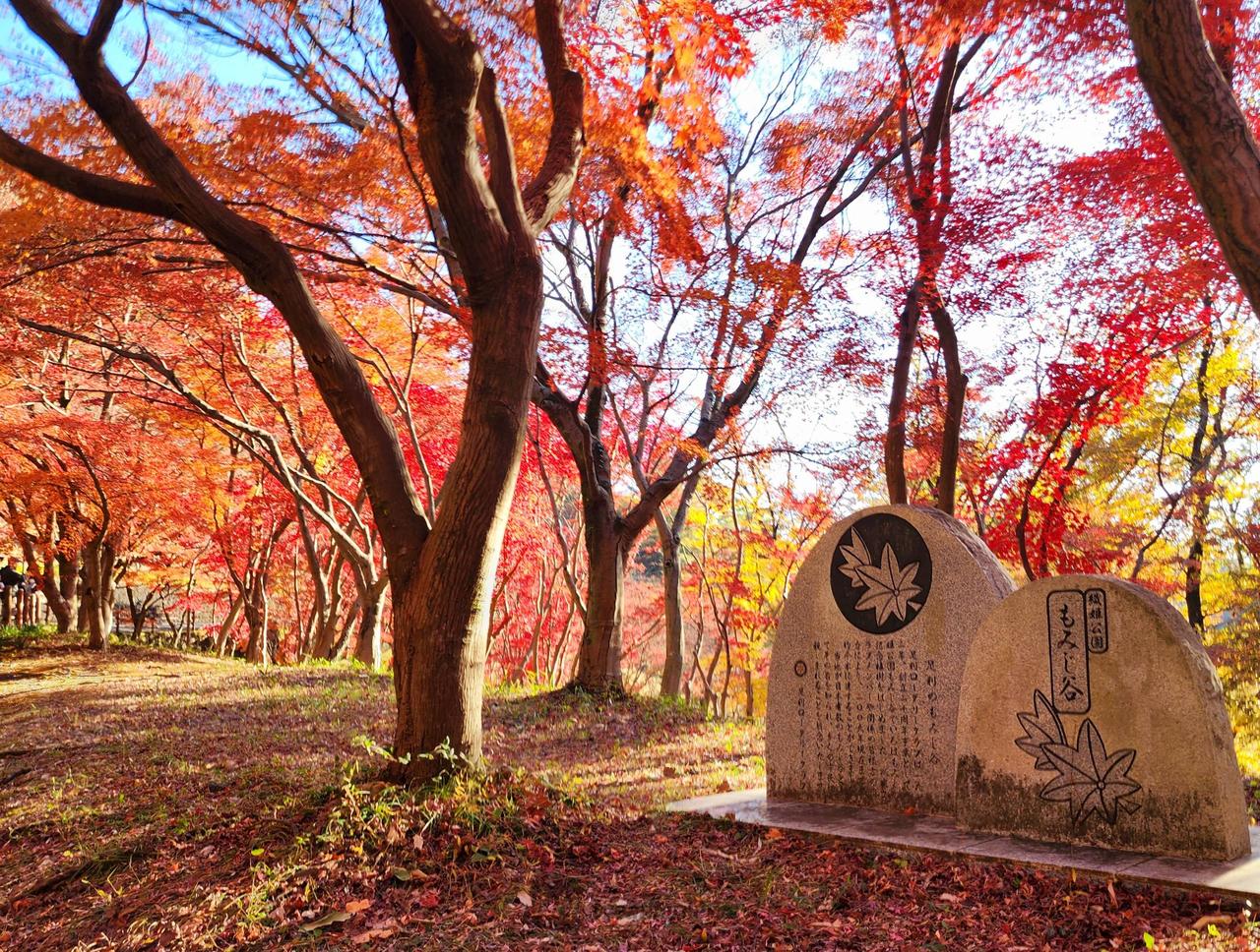 もみじ谷(織姫公園)の紅葉情報【2024】 - ウェザーニュース