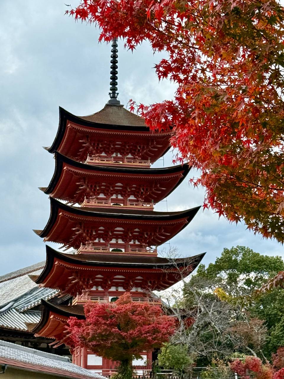 紅葉Ch. | dメニュー天気