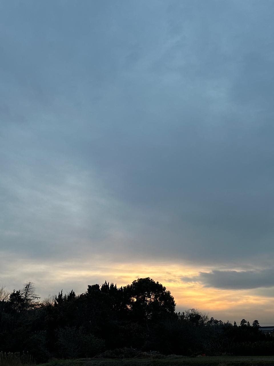 もう日没🌅です。久しぶりに雲多い寒い一日 | 千葉県長生郡長生村 | -植木屋さん | ウェザーニュース