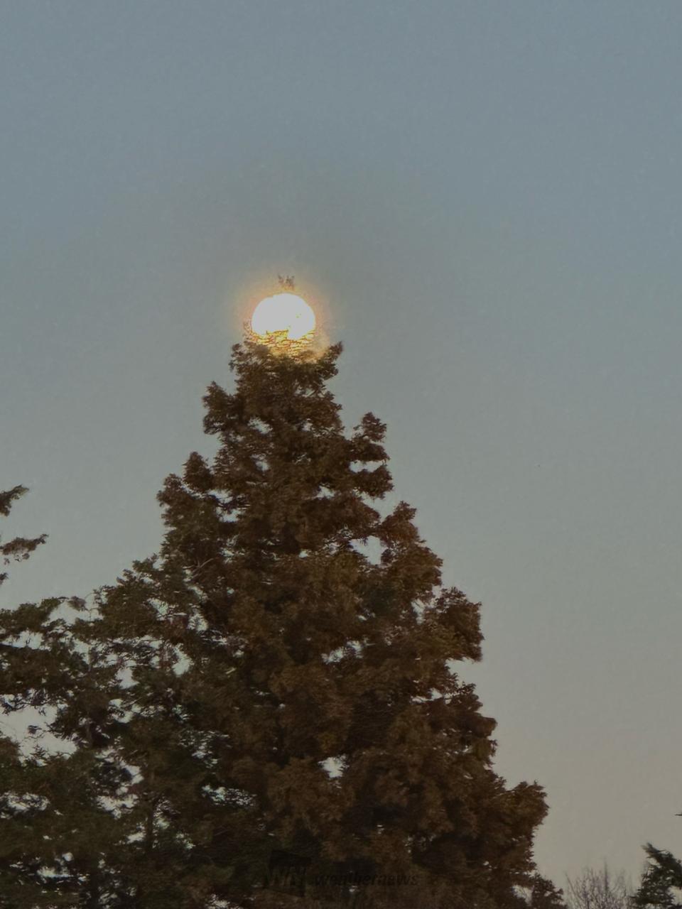 2024年最後の満月🌕 注目の空の写真 ウェザーニュース