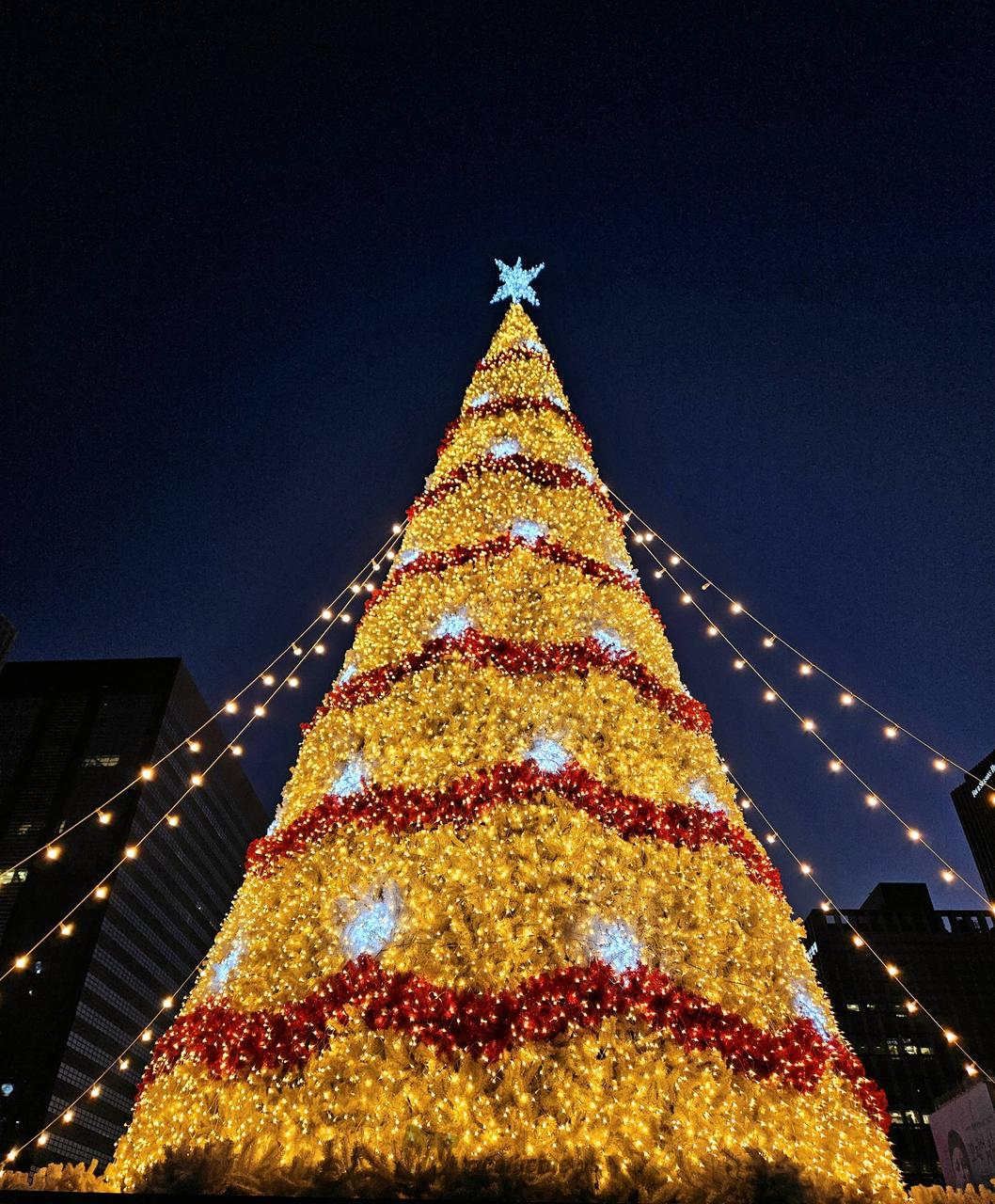 イルミネーションの季節🎄 注目の空の写真 ウェザーニュース