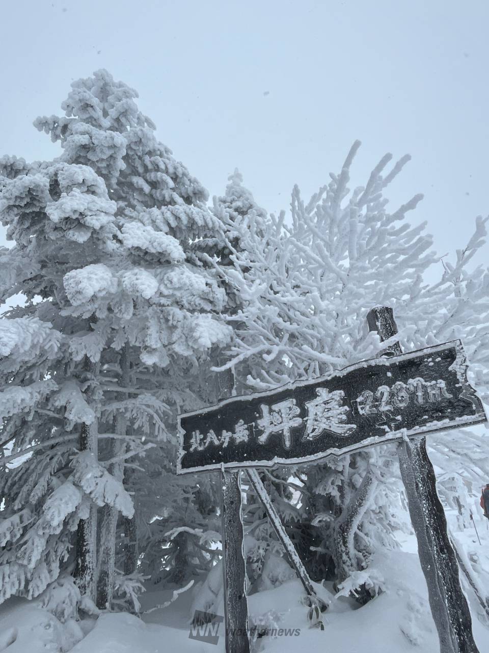 ピラタス蓼科スノーリゾートのリポート詳細｜ウェザーニュース