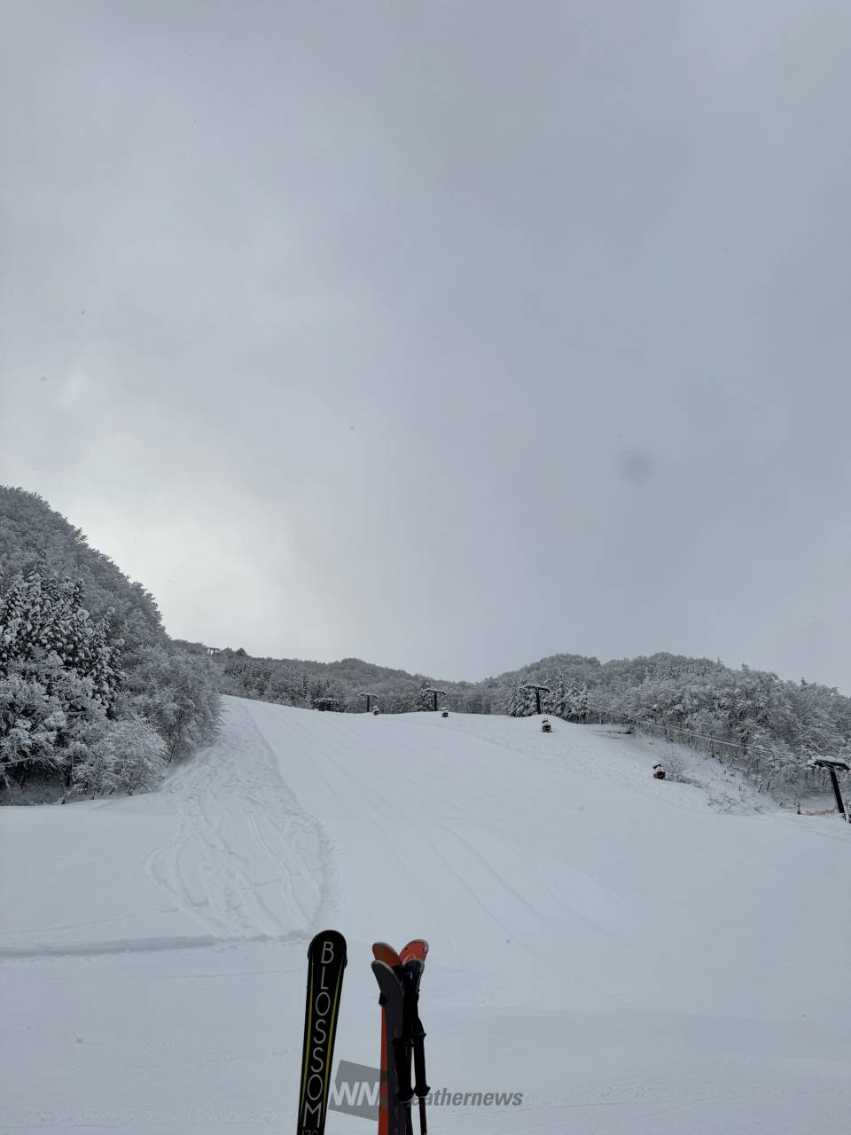 北日光・高畑スキー場のリポート詳細｜ウェザーニュース