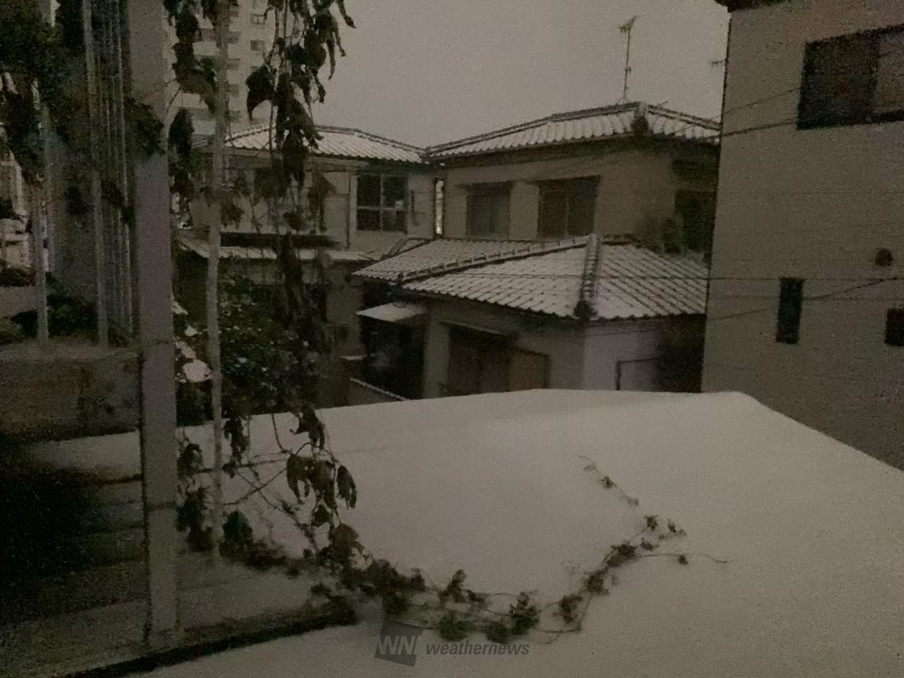 自然・季節