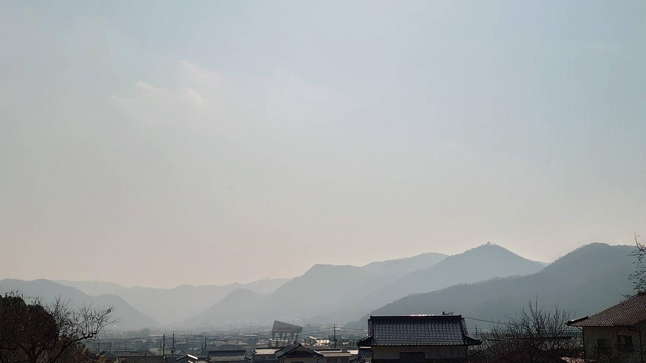 春を思わせるような...