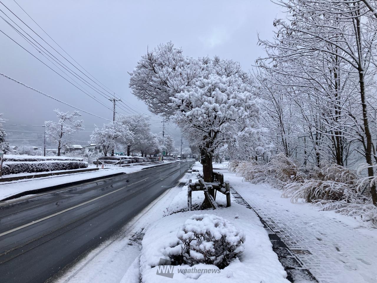 雪です。