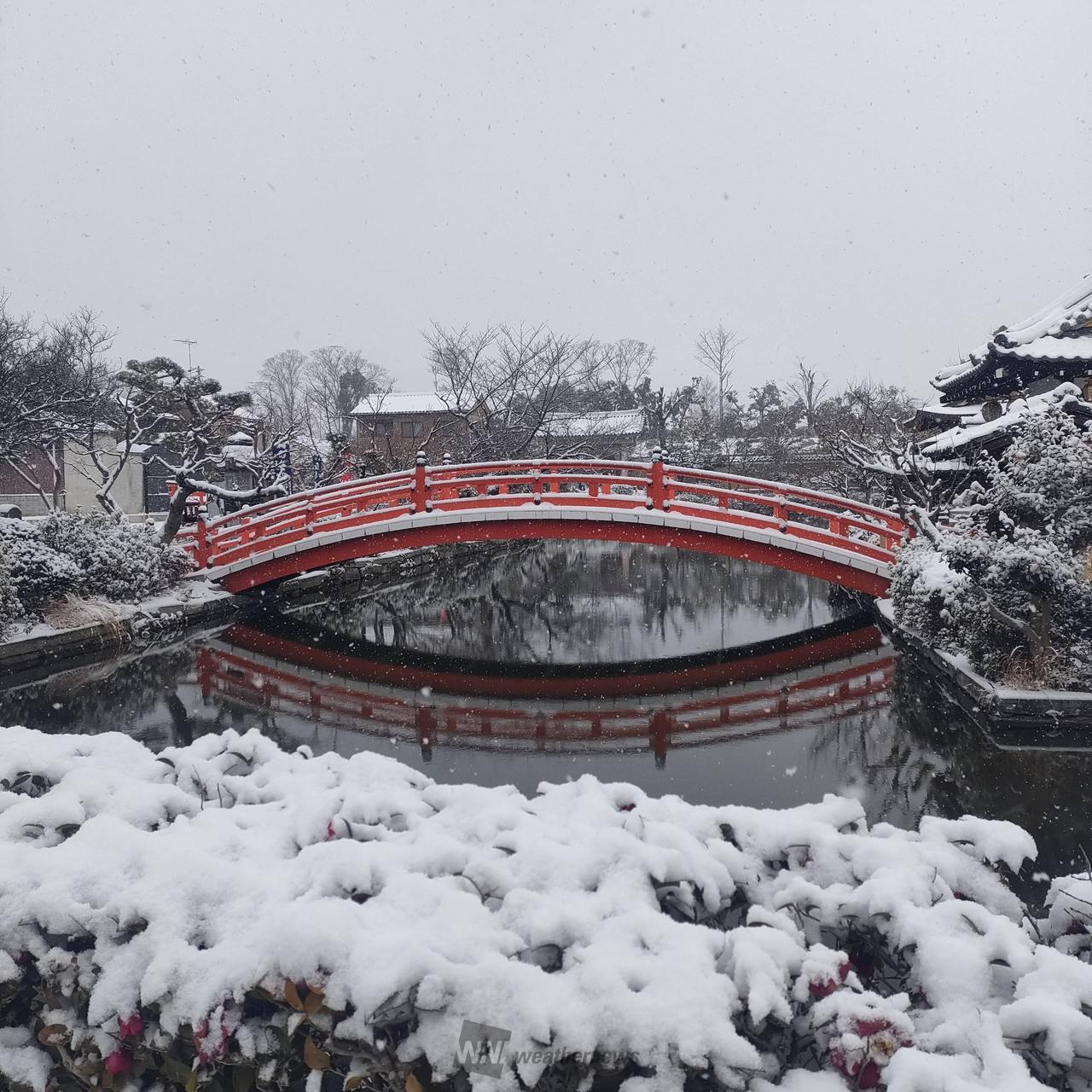 神泉苑