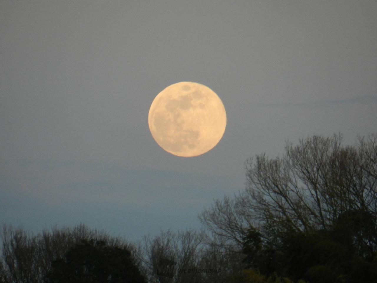 満月・スノームーン 注目の空の写真 ウェザーニュース 