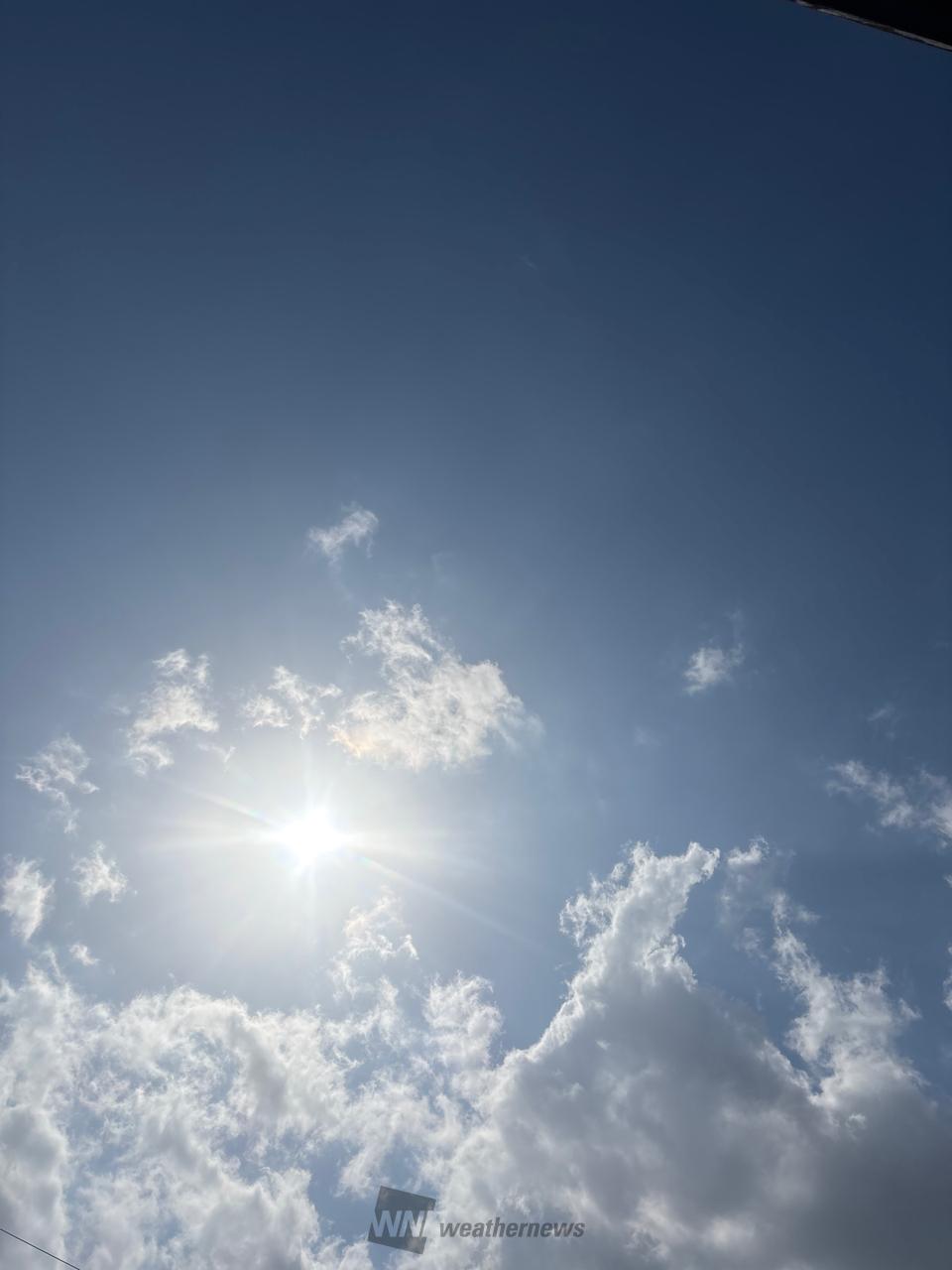 こんにちは 雲はありますが、良い天気です | 愛知県津島市 | catmaster