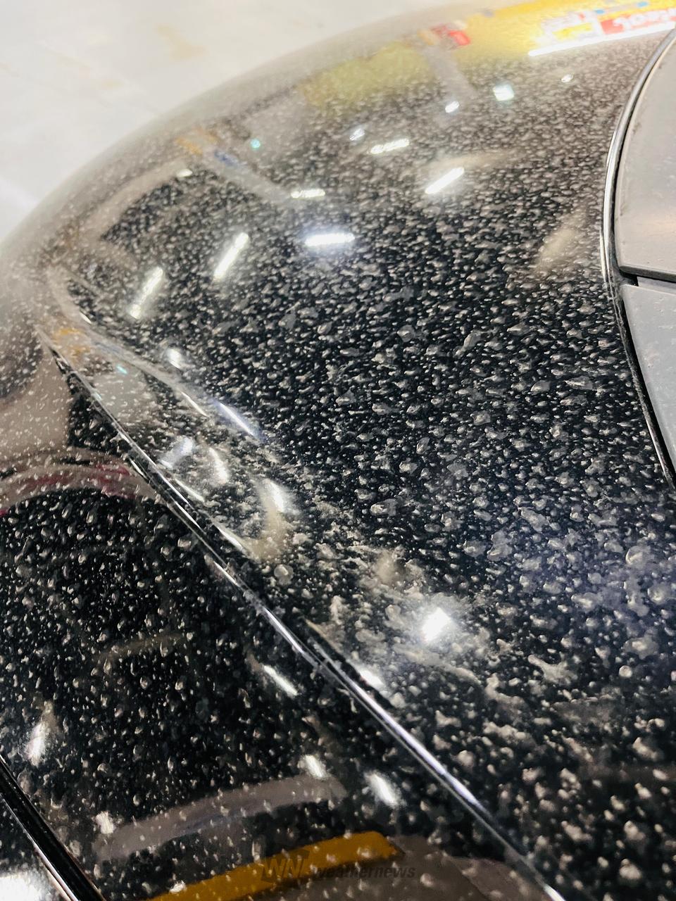 今日の雨のあと、車...