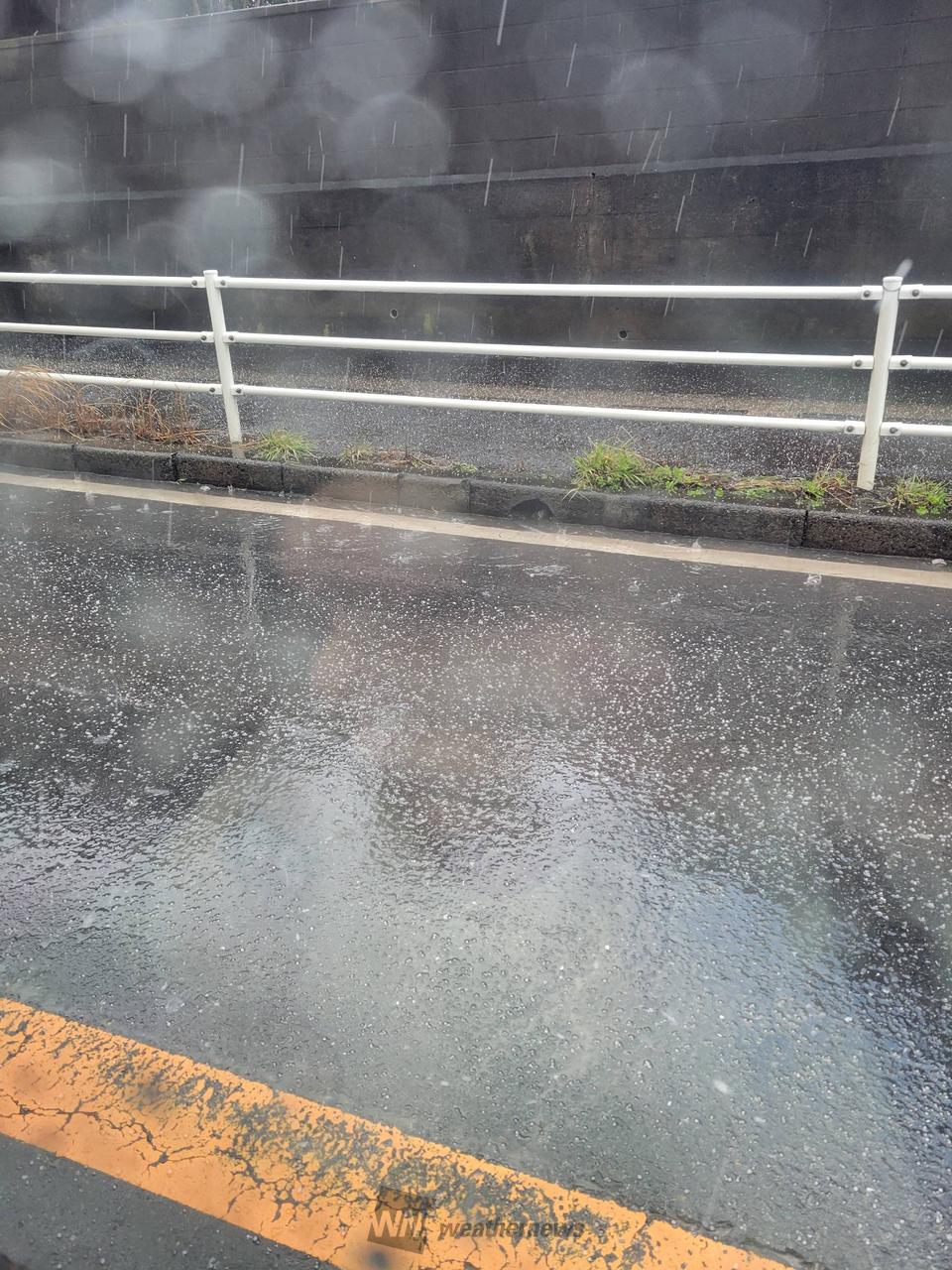 希少　気象　天然の雹　ひょう　千葉・茨城産　落ちたてホヤホヤ厳選採集 関東でヒョウやアラレ 注目の空の写真 ウェザーニュース