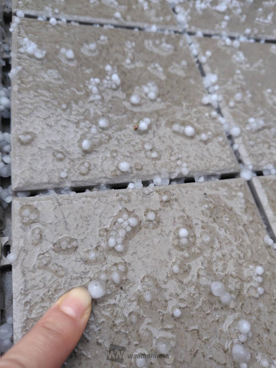 希少 気象 天然の雹 ひょう 千葉・茨城産 落ちたてホヤホヤ厳選採集