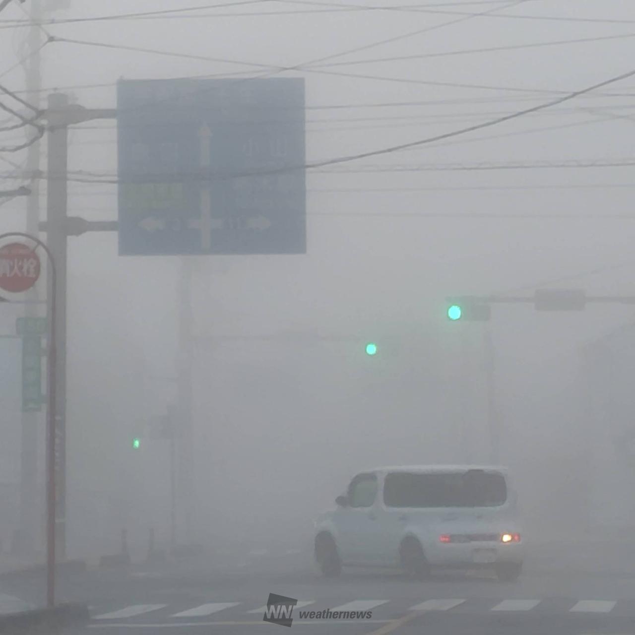 昨日の雨のせいで湿...
