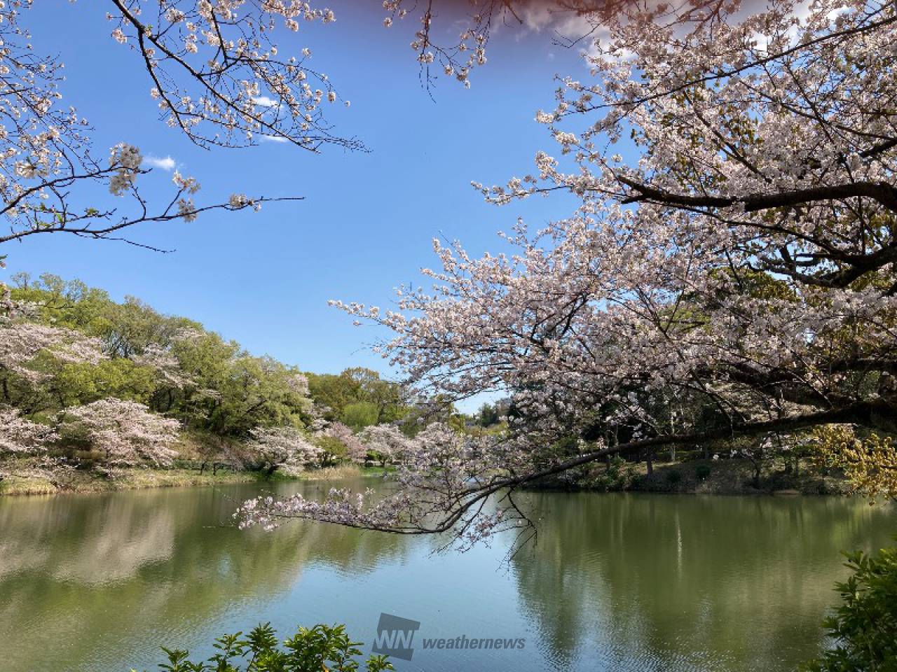 花池 大坡池－花東縦谷国家風景区