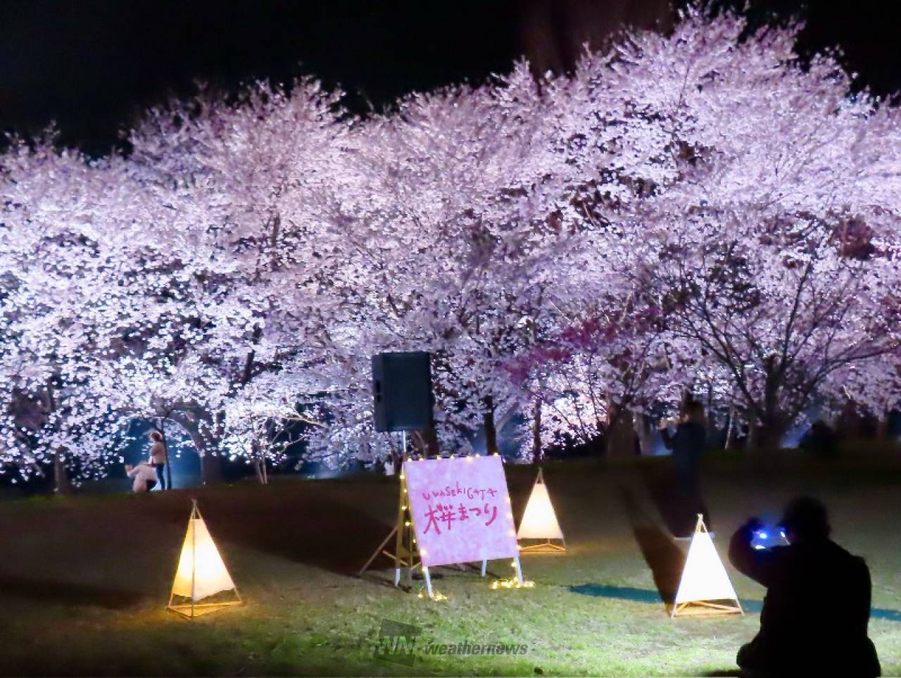 sakura_resortページ VICL-65820.jpg?_c=