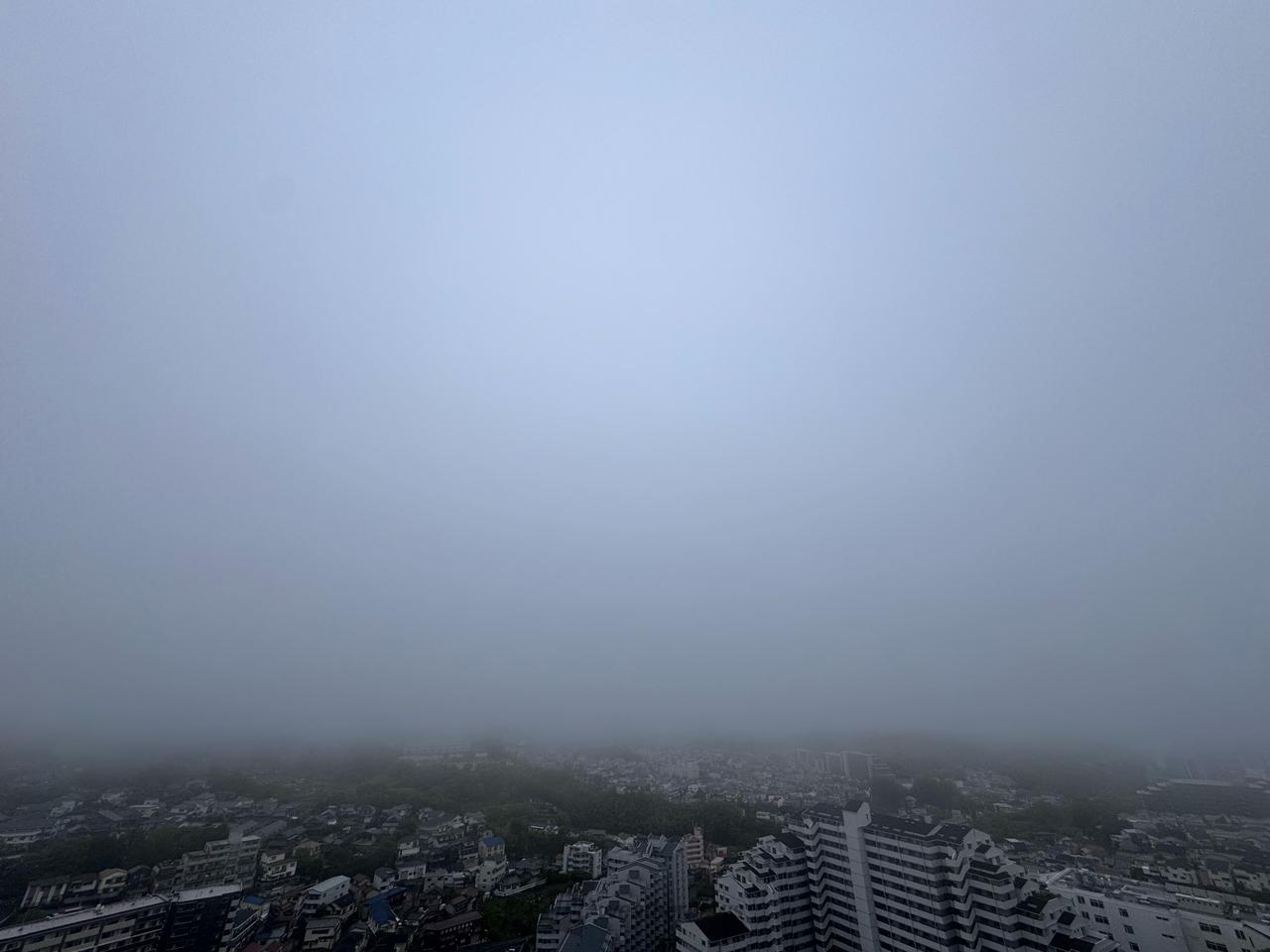 濃い霧に覆われて空...
