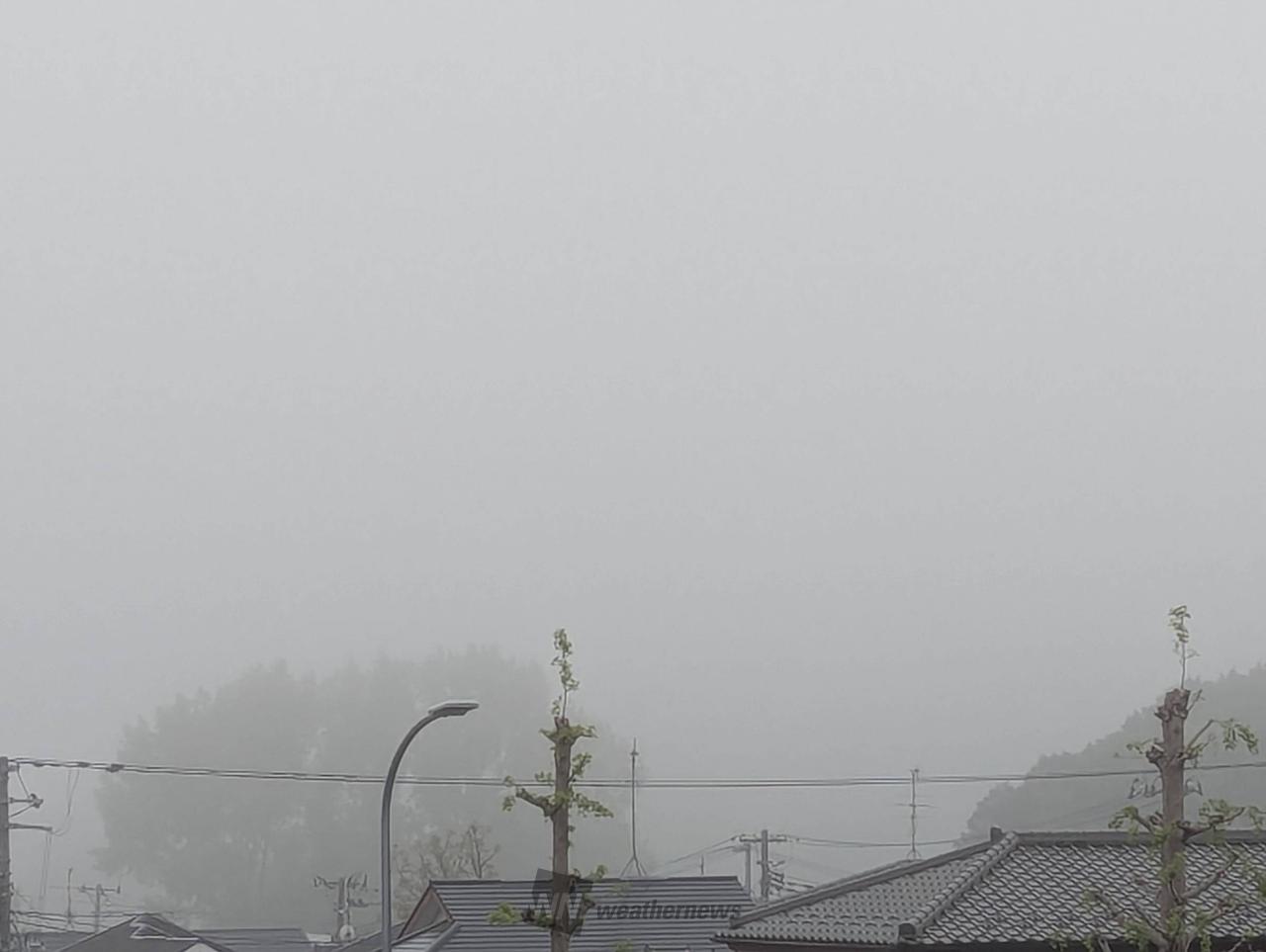 おはようございます...
