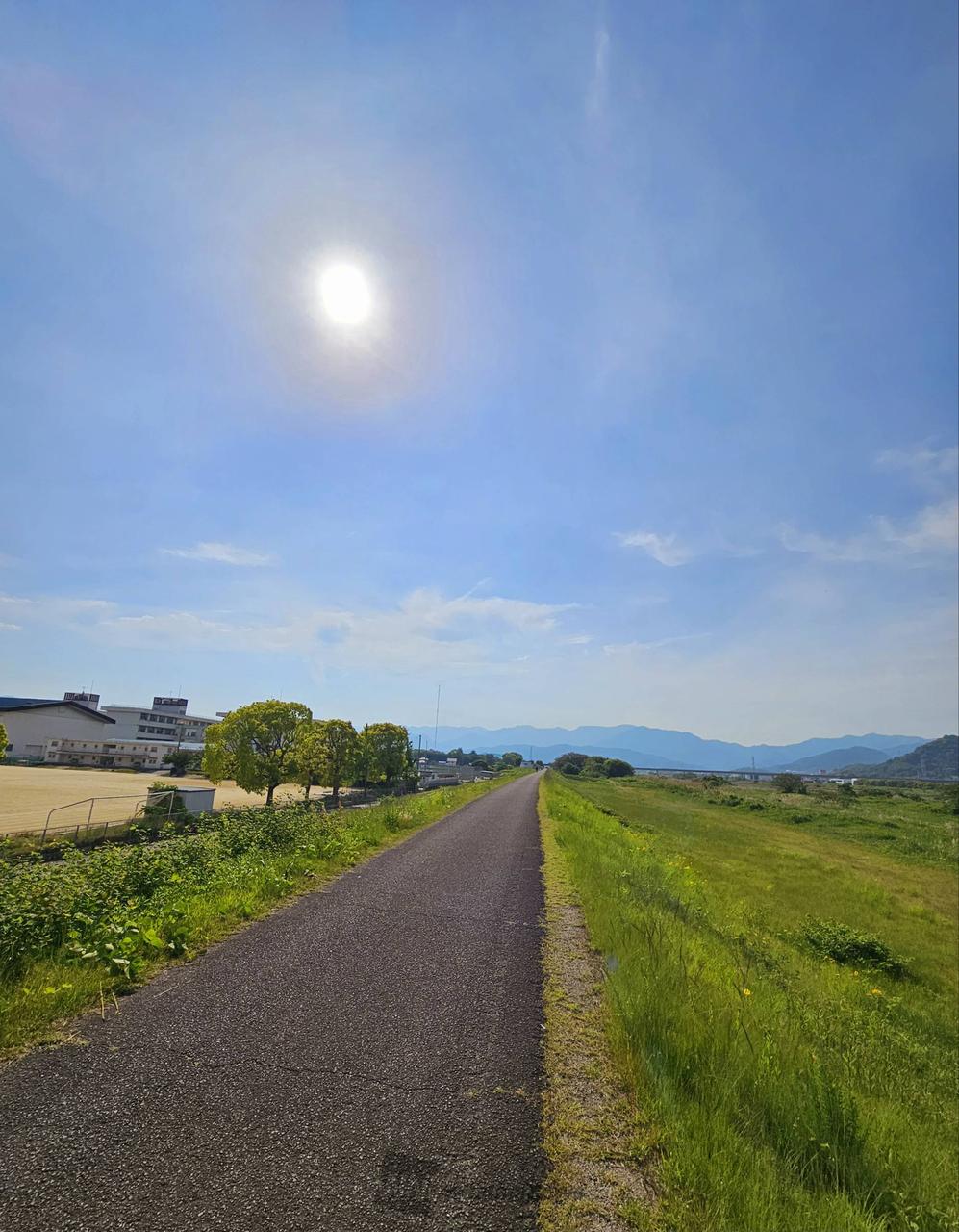 重信川土手沿いの...