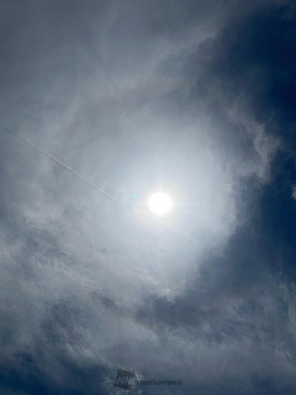 こんにちは。薄雲...