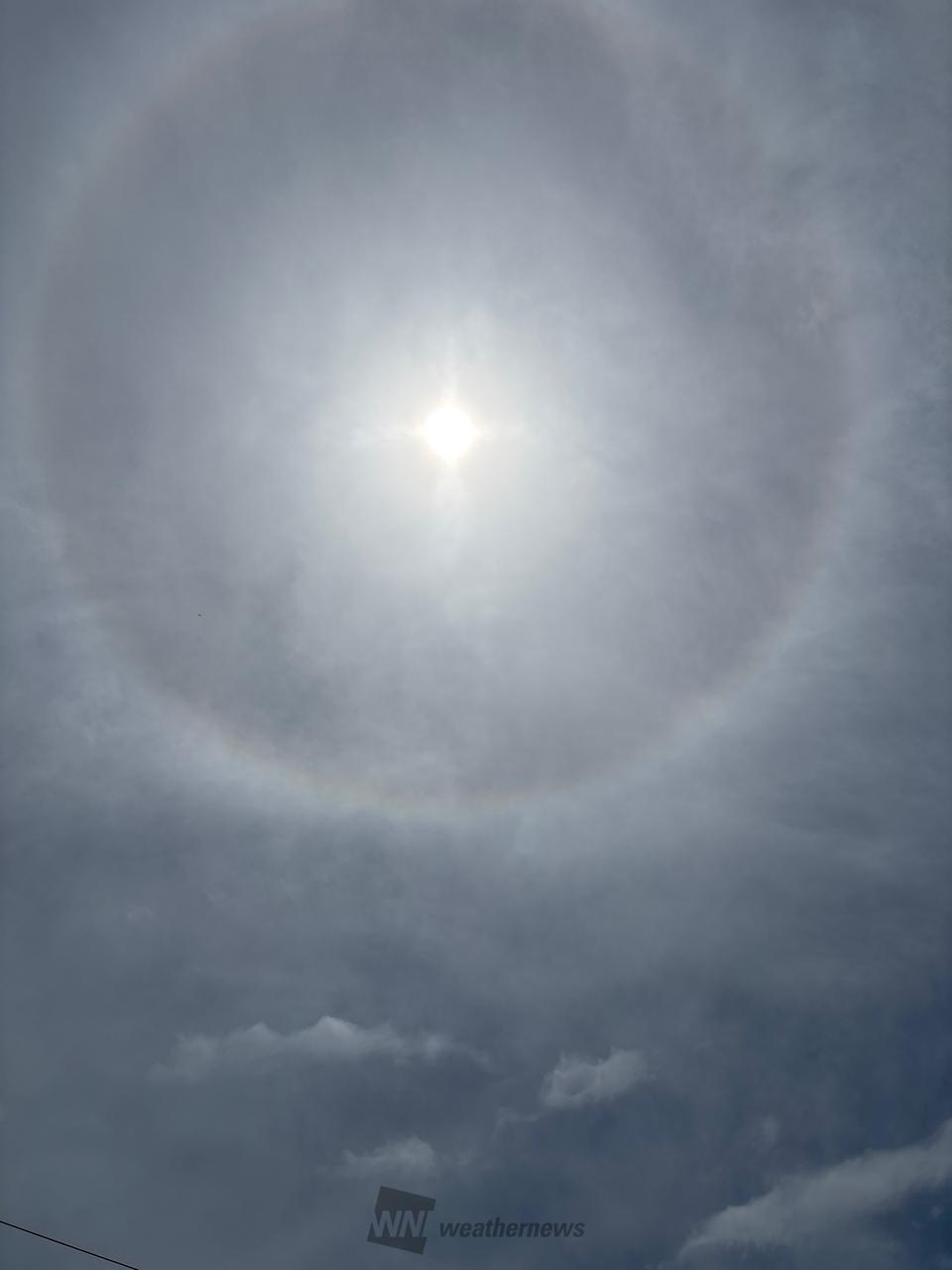 こんにちは 雲はありますが良い天気です | 愛知県津島市 | catmaster | ウェザーニュース